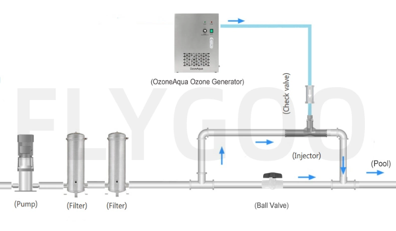 Flygoo 2000L/H Reverse Osmosis Ozone Generator Water Treatment for Drinking Water