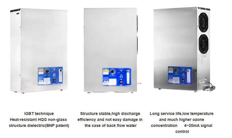 Bnp Manufacturer Soz-Yb-25g Ozone Generator Fordrinking Water Treatment Home Air Sterilization